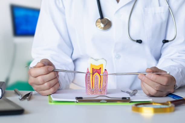 Best Chipped Tooth Repair Near Me  in Barberton, WA